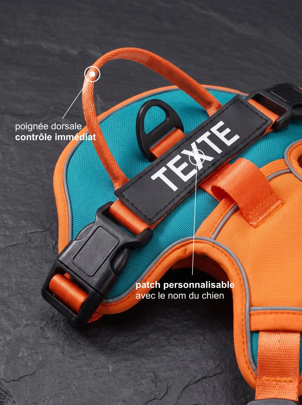Détail poignée dorsale et patch personnalisable du harnais chien orange KARN Trace