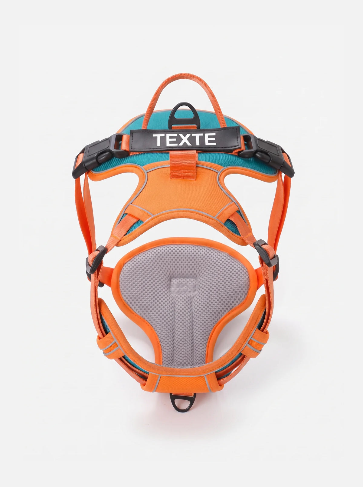 harnais personnalisé, chien orange et bleu, harnais anti-traction KARN Trace avec patch velcro personnalisable