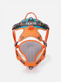 harnais personnalisé, chien orange et bleu, harnais anti-traction KARN Trace avec patch velcro personnalisable