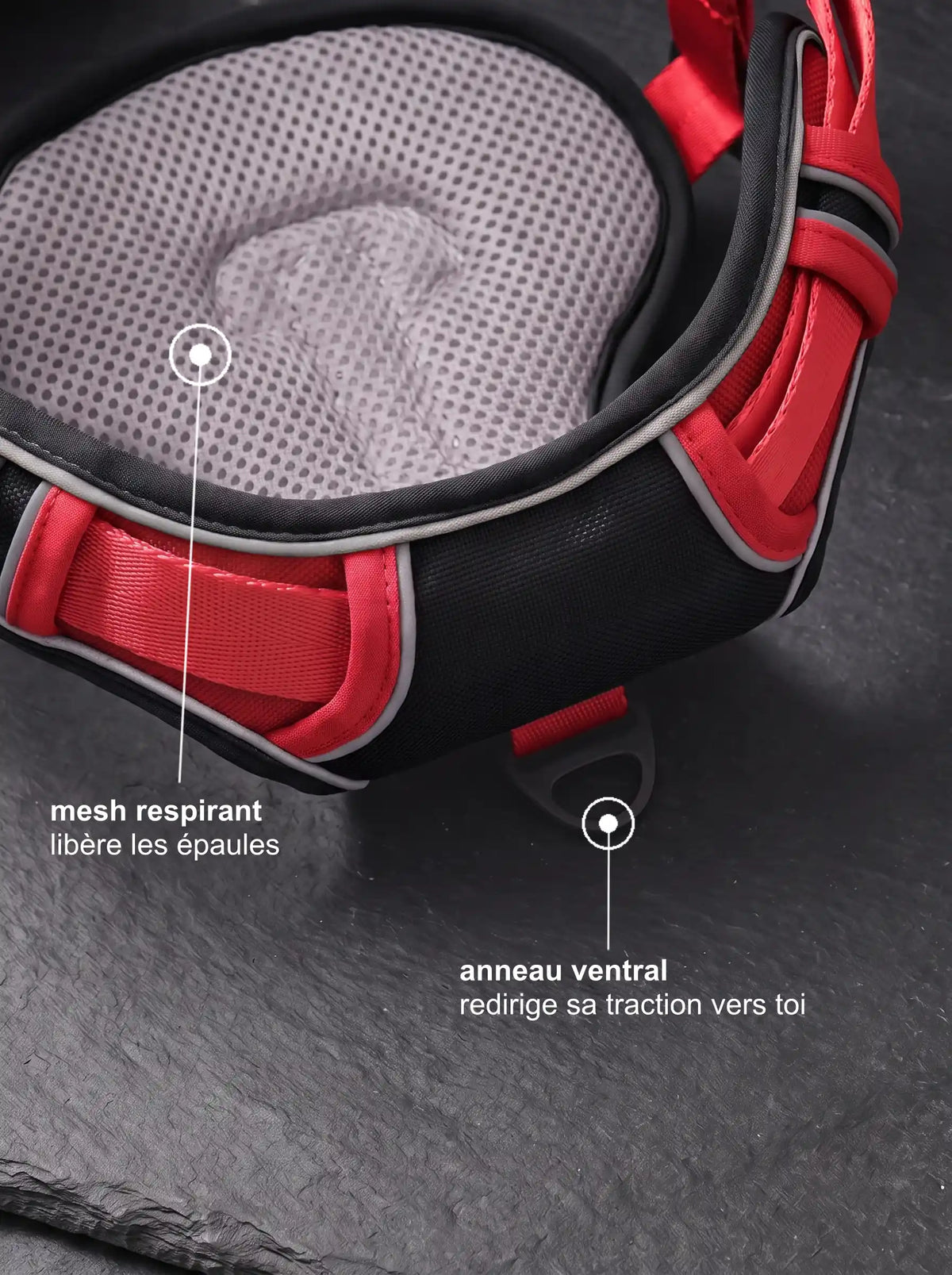 Harnais chien personnalisé rouge, détail mesh respirant et anneau ventral anti-traction