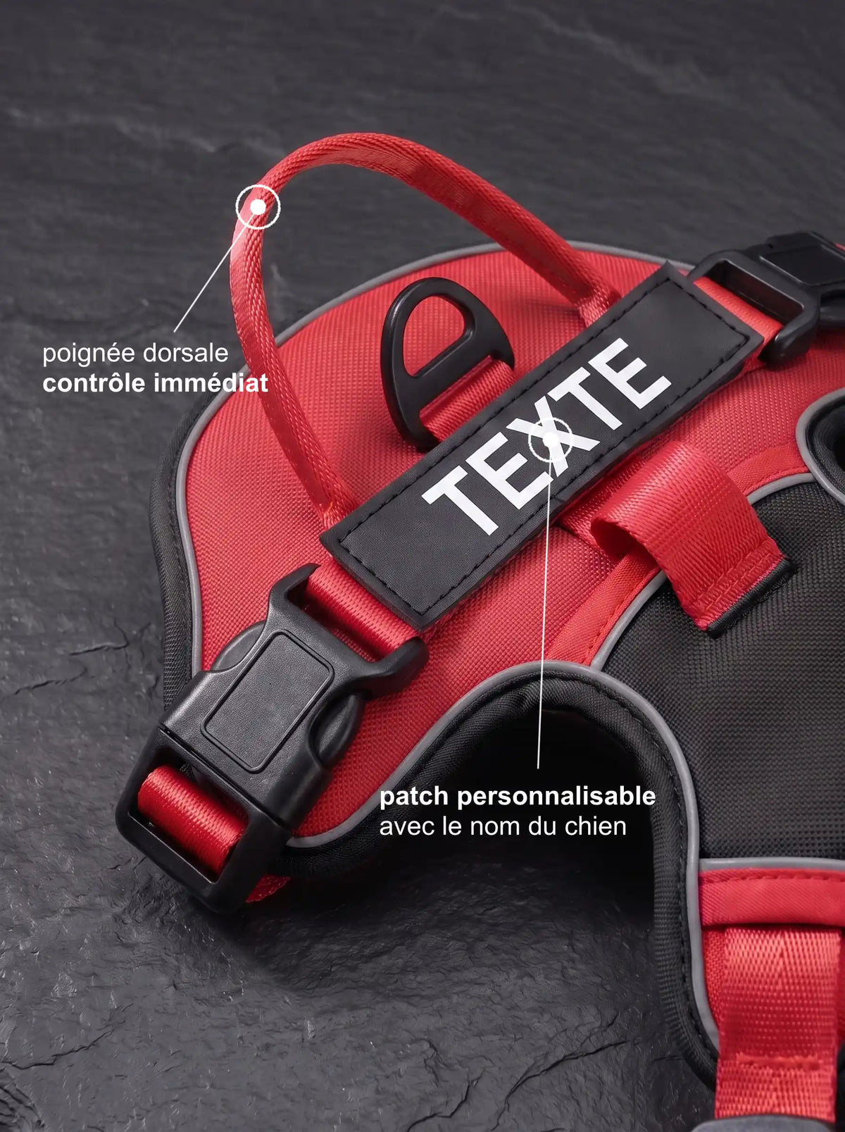 Harnais chien personnalisé rouge, détail poignée dorsale et patch personnalisable avec le nom du chien