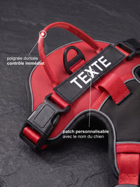 Harnais chien personnalisé rouge, détail poignée dorsale et patch personnalisable avec le nom du chien