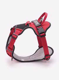 Harnais chien personnalisé rouge, vue produit trois quarts avec anneau dorsal