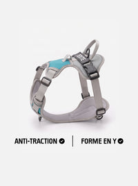 Harnais personnalisé chien anti-traction KARN Trace gris et bleu, forme en Y avec patch personnalisable sur la poignée dorsale et clip frontal