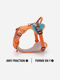 Harnais personnalisé chien anti-traction KARN Trace orange et bleu, forme en Y avec patch personnalisable sur la poignée dorsale et clip frontal