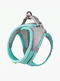 Harnais petit chien respirant coloris vert