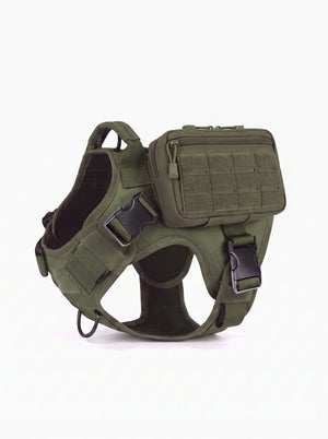 Harnais tactique chien vert avec pochette tactique MOLLE, vue de profil, panneau velcro MOLLE tourné vers l'extérieur