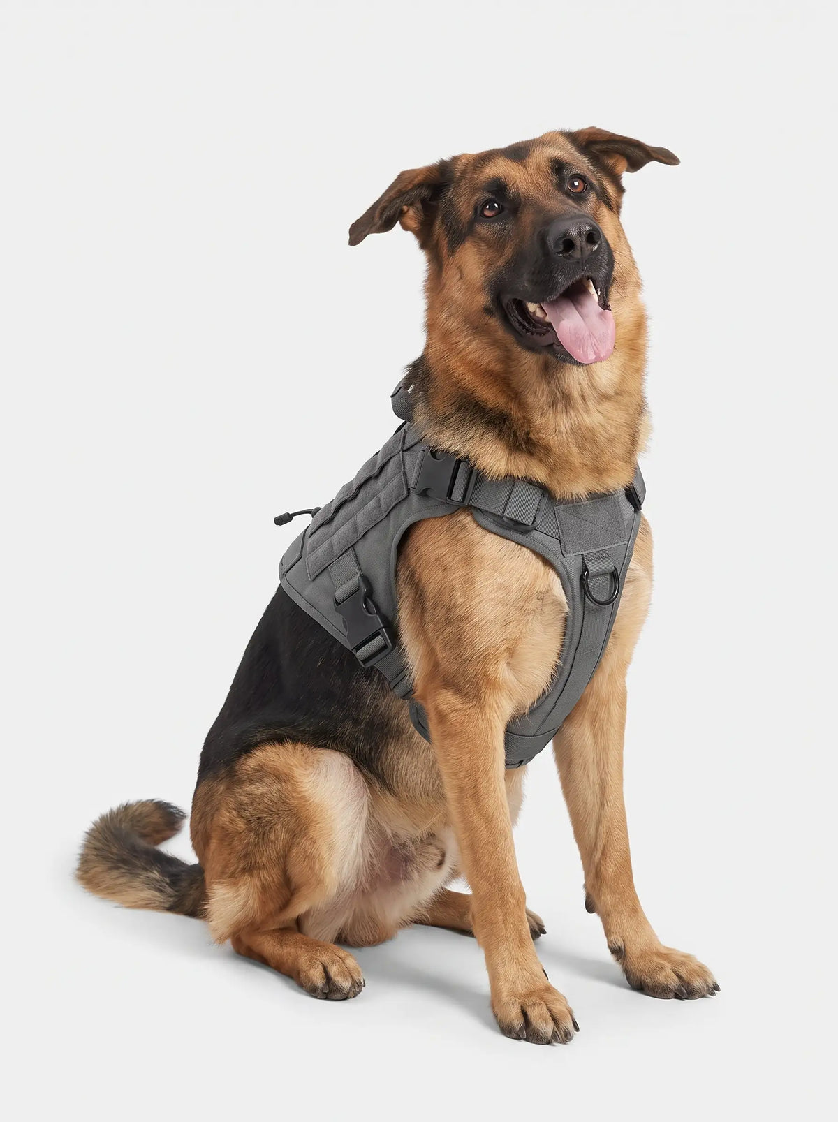 Harnais Tactique Chien Gilet MOLLE | KARN Field