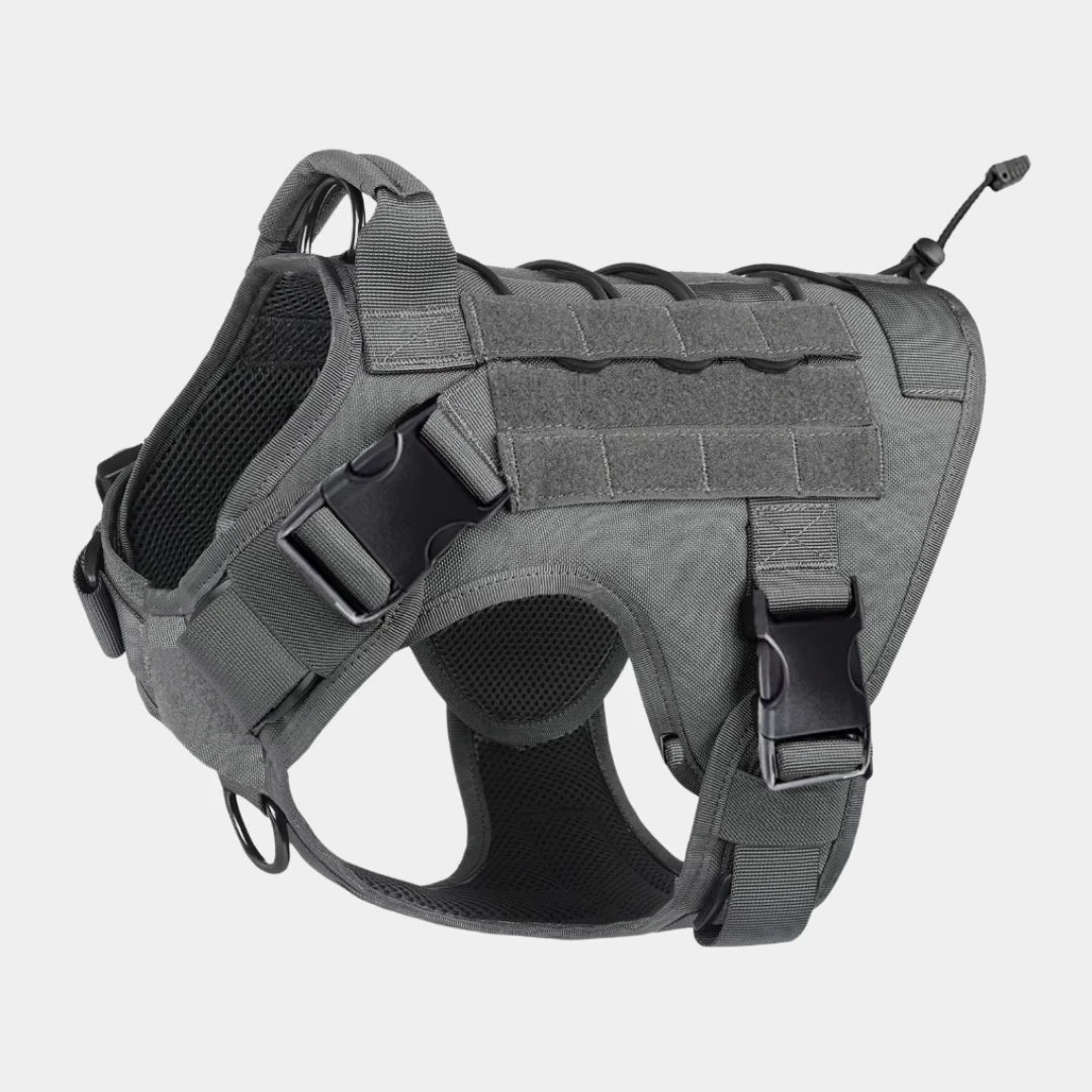 Harnais tactique chien militaire coloris gris KARN Field Image