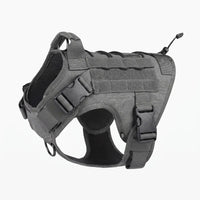 Harnais tactique chien militaire coloris gris KARN Field