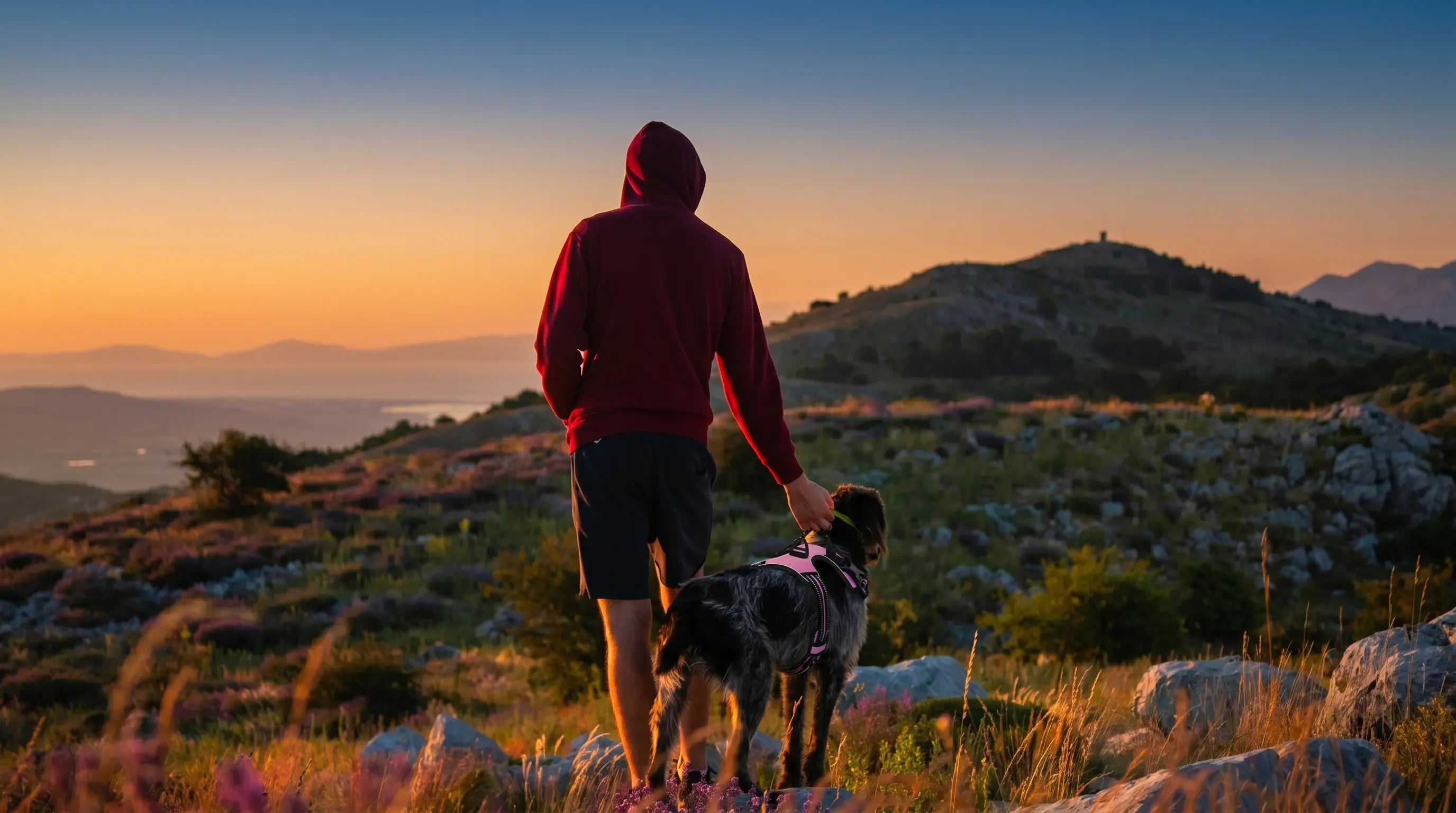 Homme de dos avec son chien devant un coucher de soleil en montagne — enfin des promenades où tu profites autant que lui