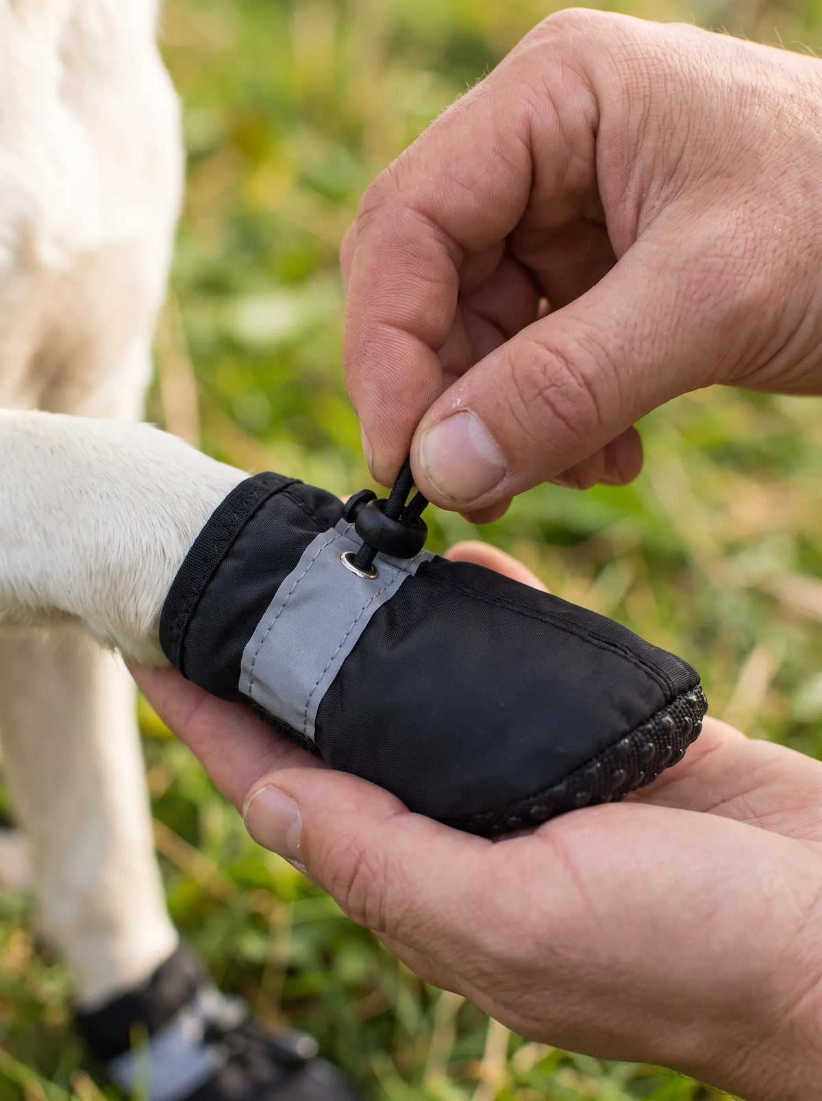 Main ajustant le cordon de serrage d'une bottine KARN Frost sur la patte d'un chien