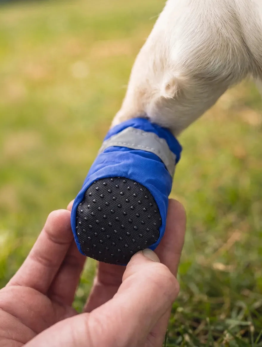 Bottine KARN Frost tenue en main montrant la semelle antidérapante contre la patte du chien