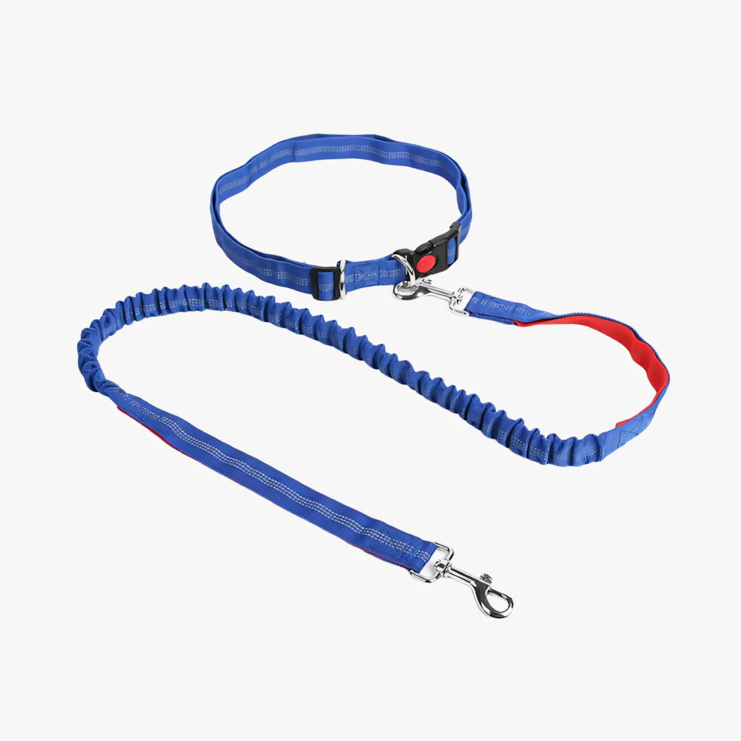 Laisse canicross chien mains libres coloris bleu