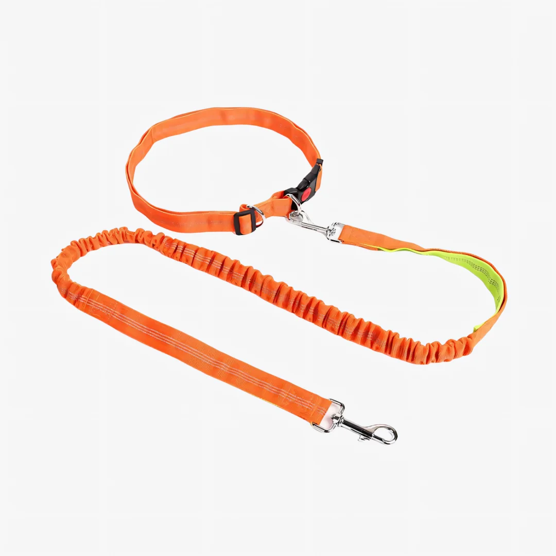 Laisse canicross chien mains libres coloris orange