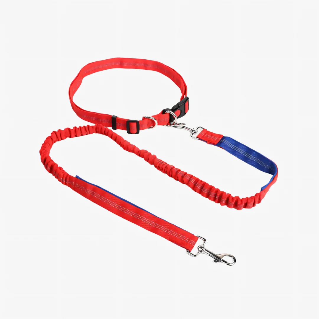 Laisse canicross chien mains libres coloris rouge