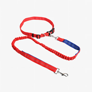 Laisse canicross chien mains libres coloris rouge