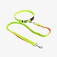 Laisse canicross chien mains libres coloris vert