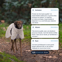 Manteau chien beige imperméable porté par un lévrier sur un sentier de feuilles, avis clients 5/5