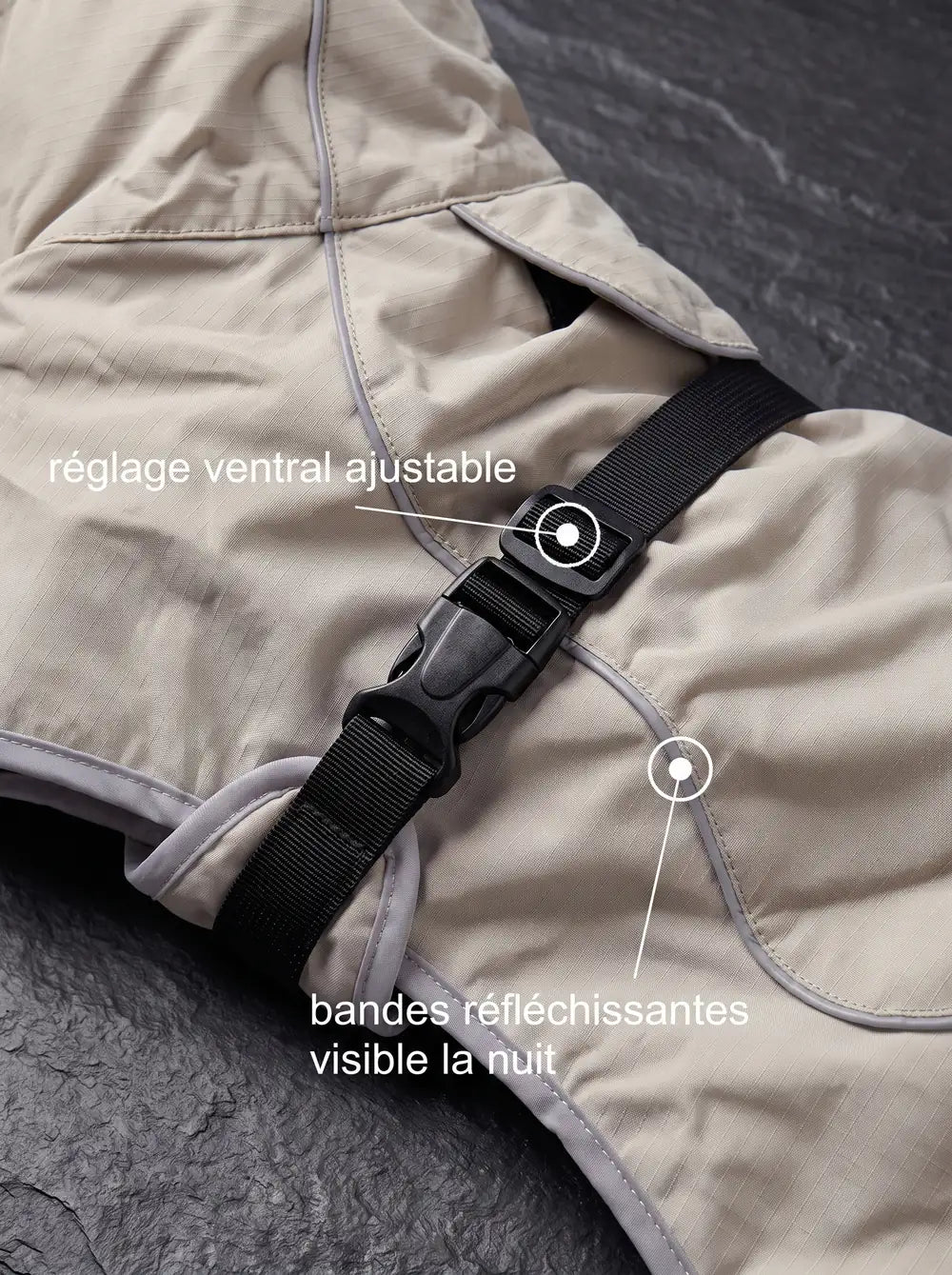 Manteau chien beige KARN Nord vu de dessus : col à double ajustement et large couverture du dos