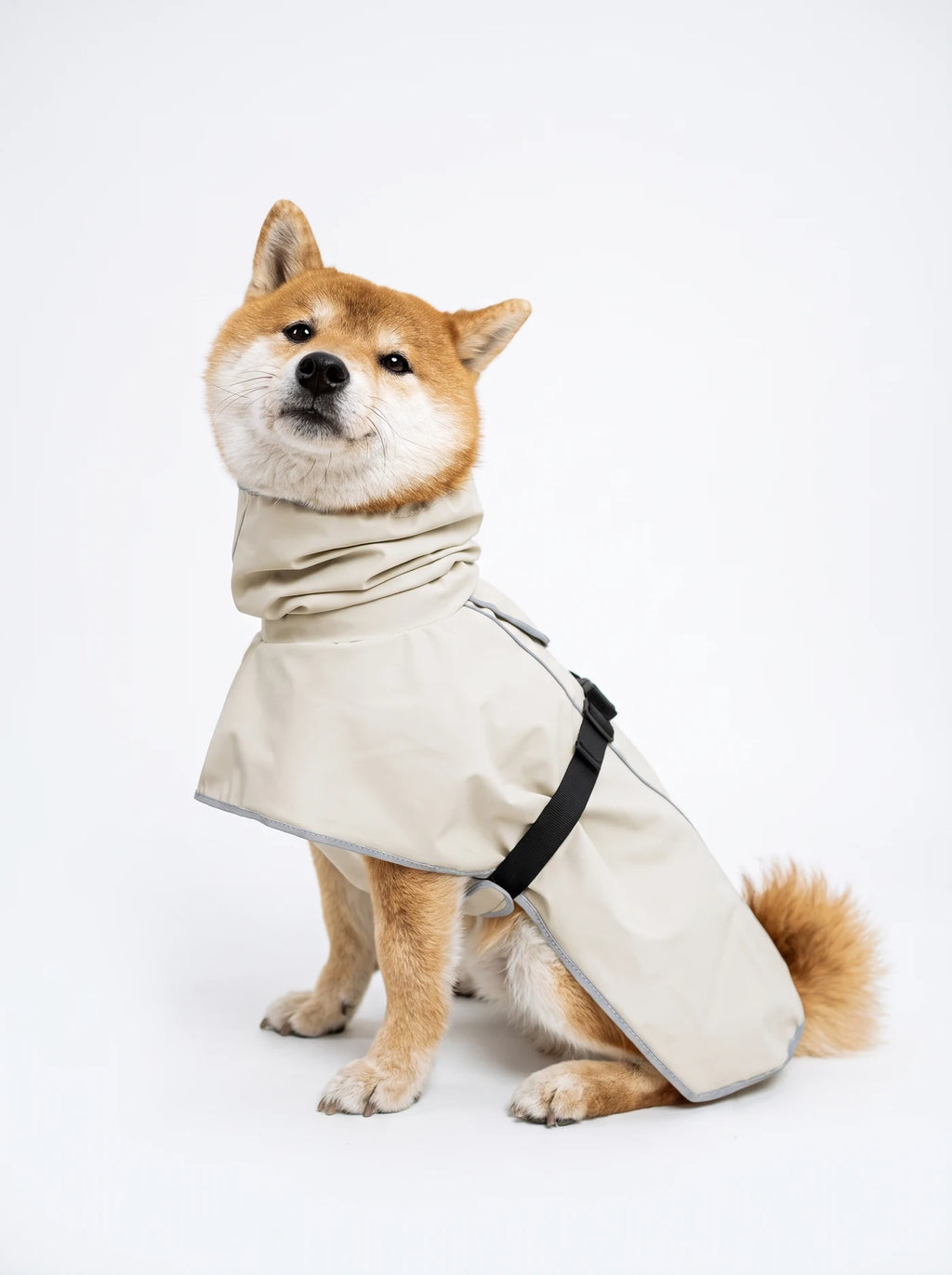 Shiba Inu assis portant le manteau chien beige KARN Nord, col montant, sangle ventrale à boucle et liseré réfléchissant