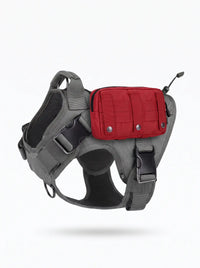 Pochette tactique MOLLE rouge sur harnais militaire chien gris