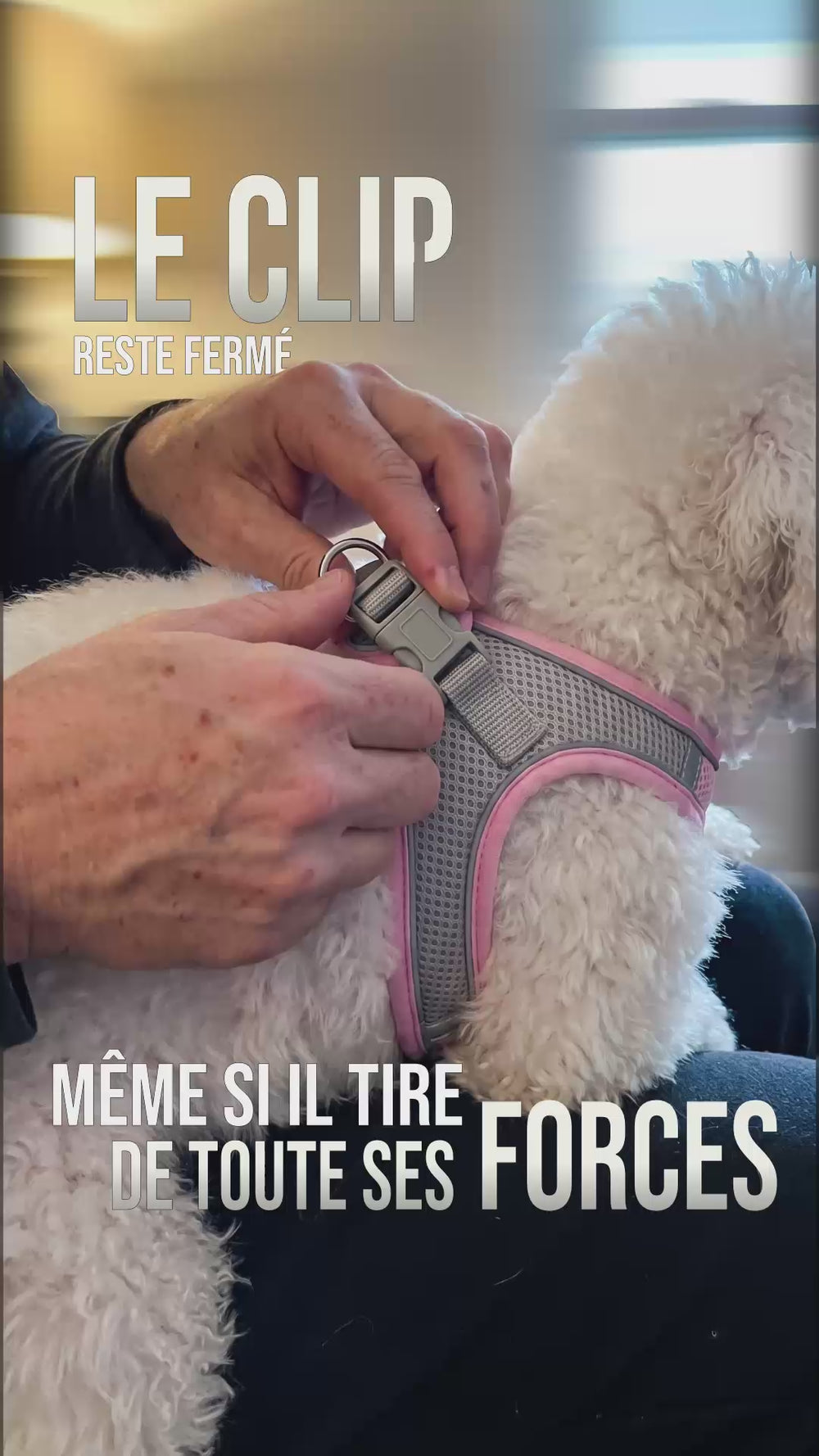 Clip harnais petit chien KARN Air maintenu fermé pendant la traction du chien