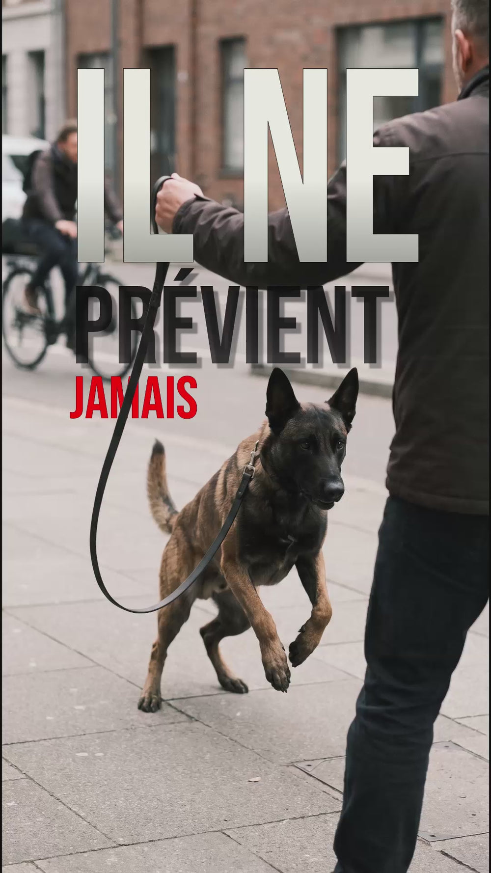 Chien Malinois qui bondit brusquement en laisse dans une rue en ville