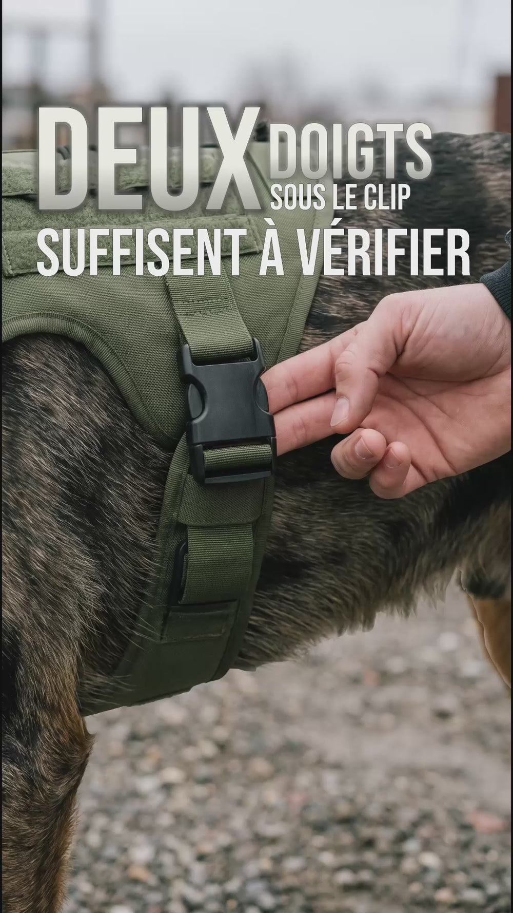 Logo KARN, marque de harnais tactique chien, karn-harnais.com
