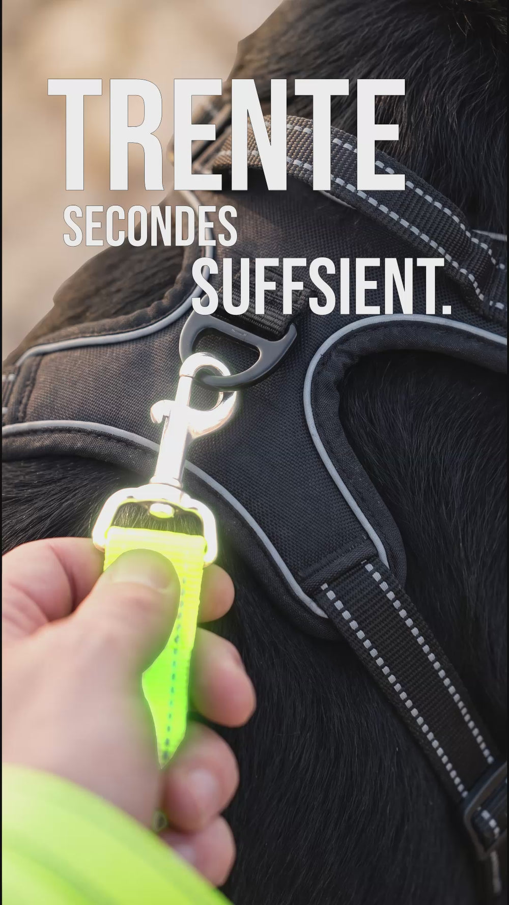 Logo KARN, marque française de harnais et accessoires pour chien