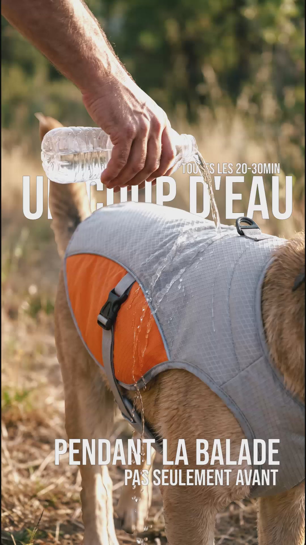 Logo KARN harnais et accessoires pour chien, karn-harnais.com, pour les chiens qui méritent mieux