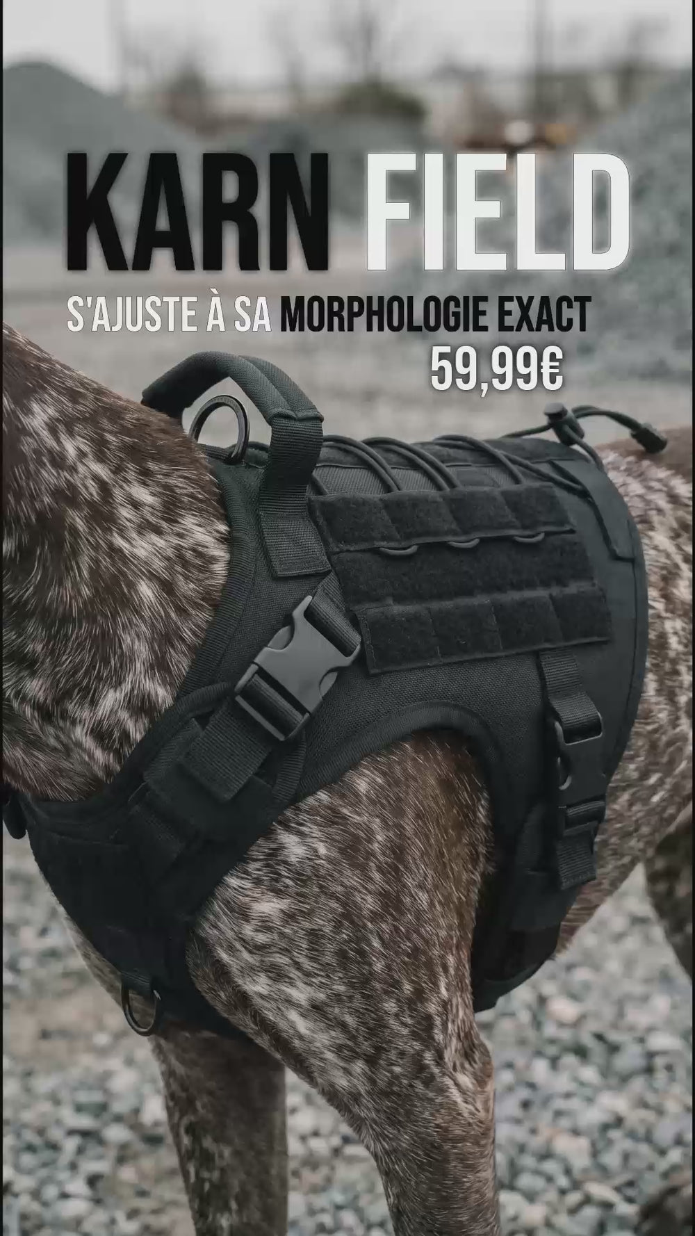 KARN Field, harnais tactique chien à système molle ajustable à la morphologie, 59,99€