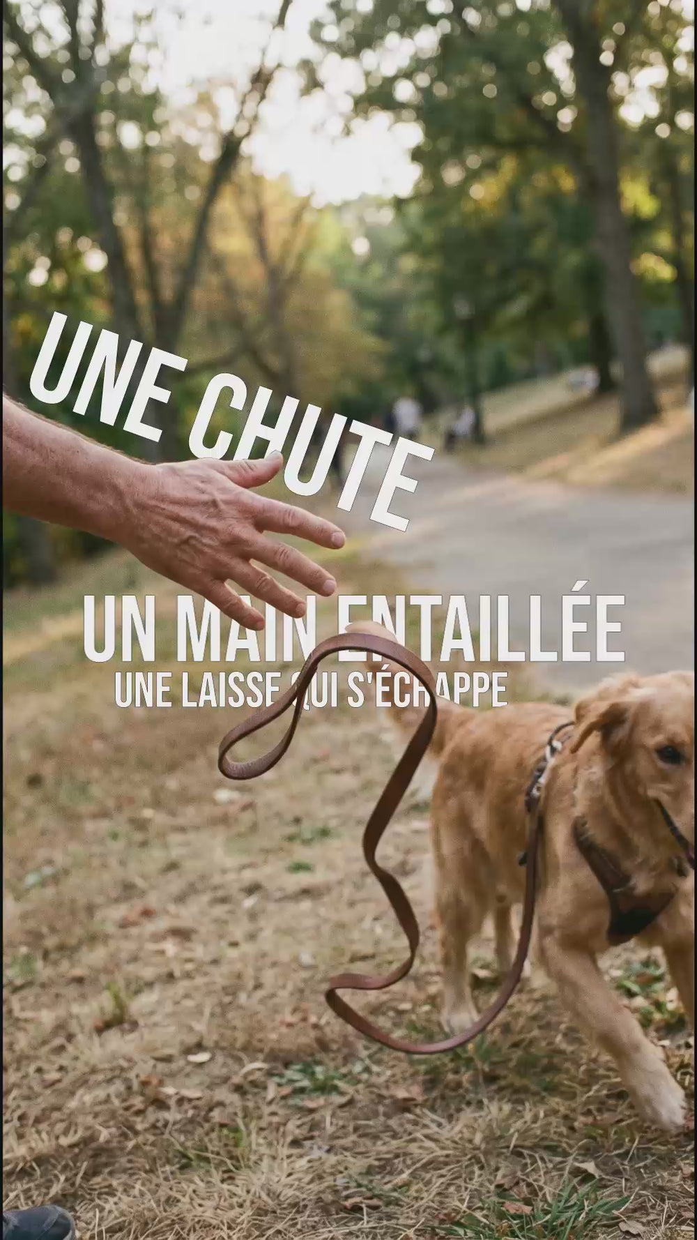 Laisse glissant de la main en pleine balade, risque de chute et de coupure sans harnais anti traction chien