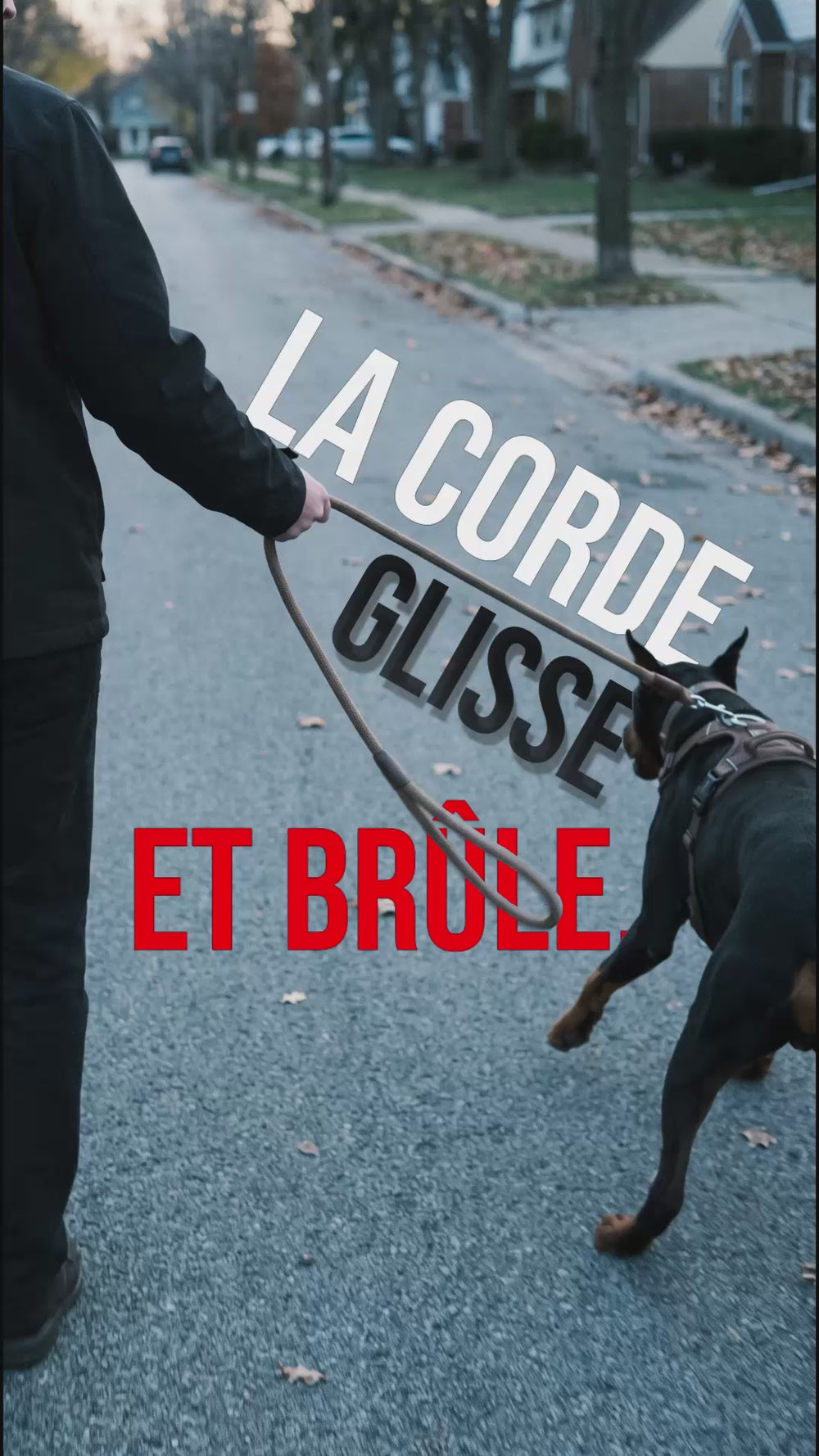 Laisse anti-choc chien : la corde classique glisse et brûle la main