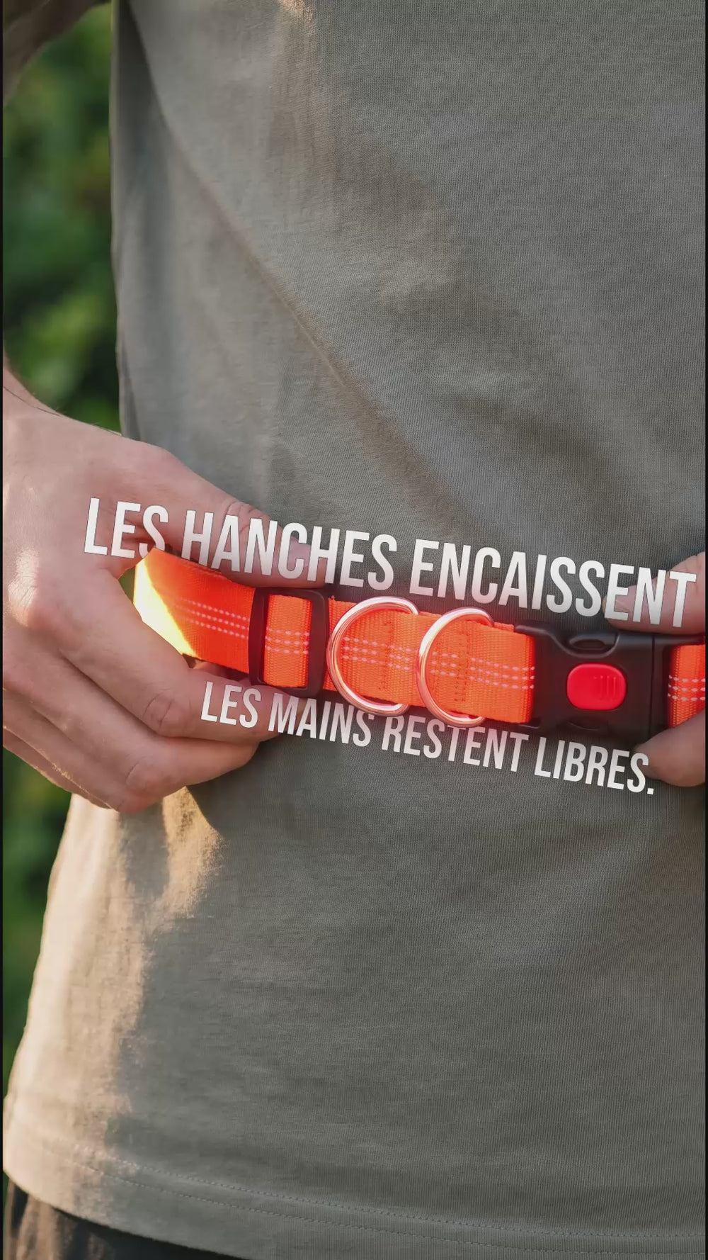 Logo KARN harnais chien canicross, karn-harnais.com, pour les chiens qui méritent mieux