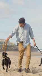 Harnais chien sur la plage : la sangle frotte contre le poil au niveau de l'épaule