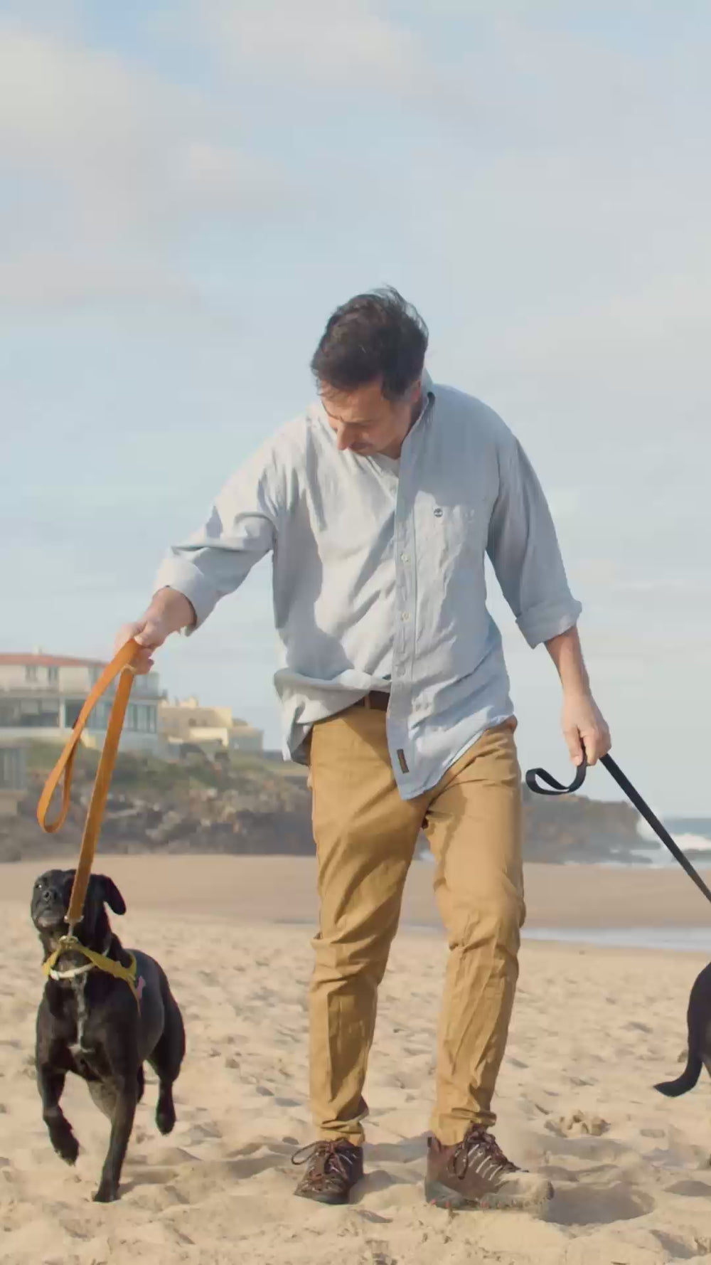 Harnais chien sur la plage : la sangle frotte contre le poil au niveau de l'épaule
