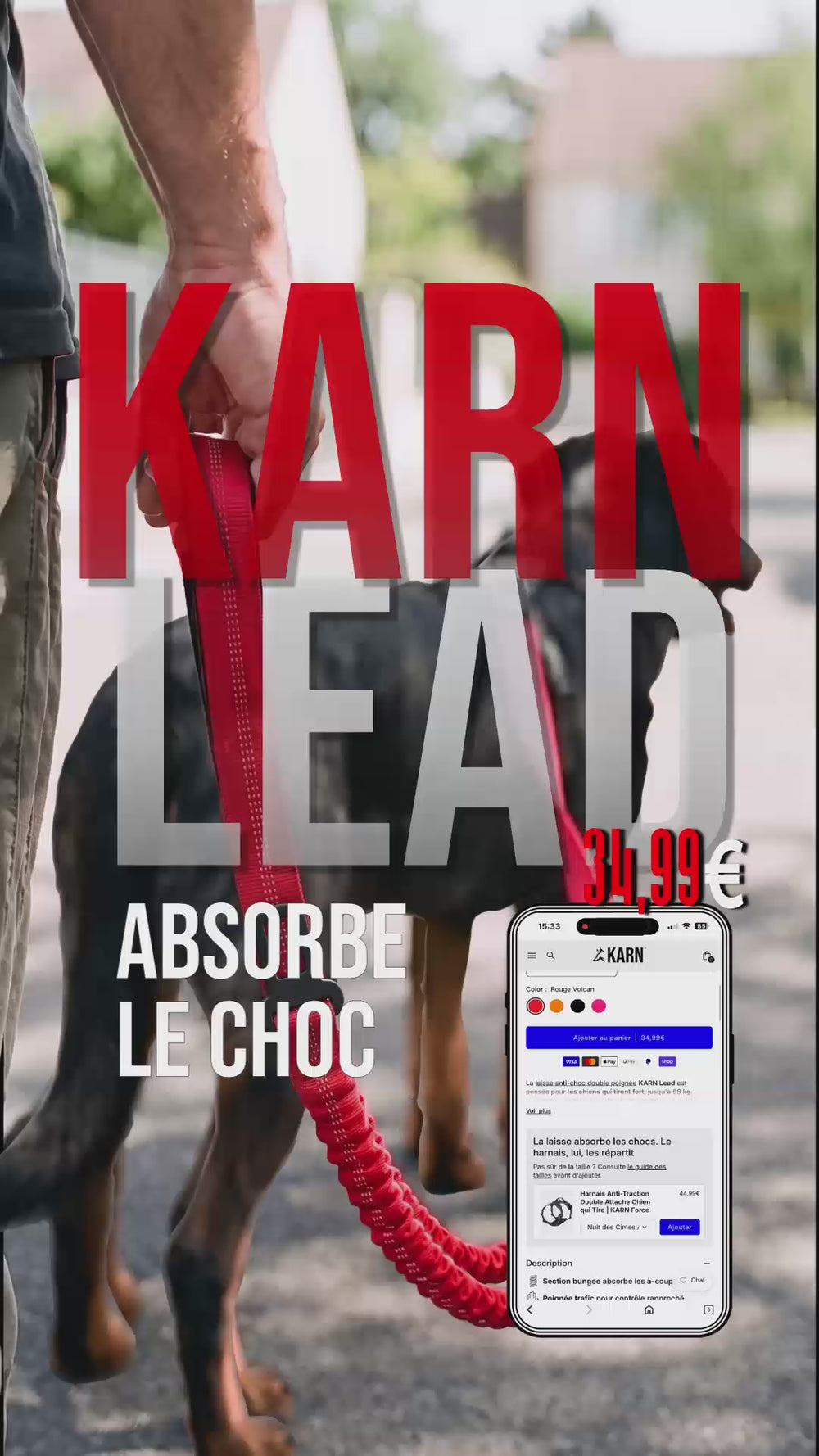Laisse anti-choc chien avec deuxième poignée pour un contrôle rapproché