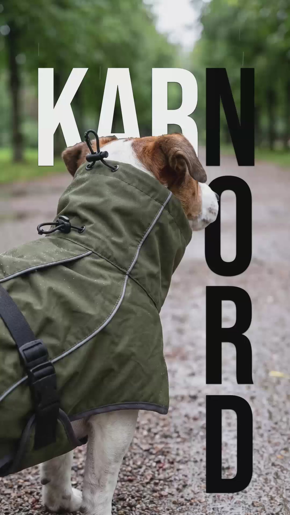 KARN Nord, manteau imperméable chien avec capuche ajustée, en promenade dans une allée arborée