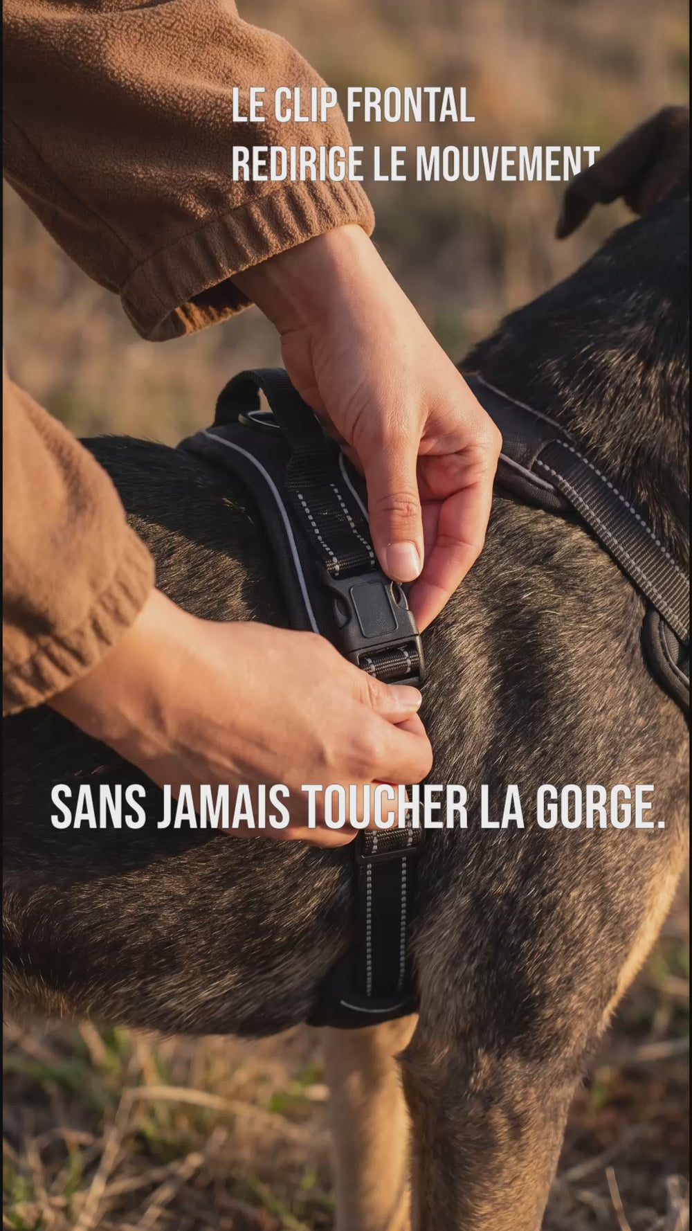 Logo de la marque KARN harnais anti traction chien, pour les chiens qui méritent mieux