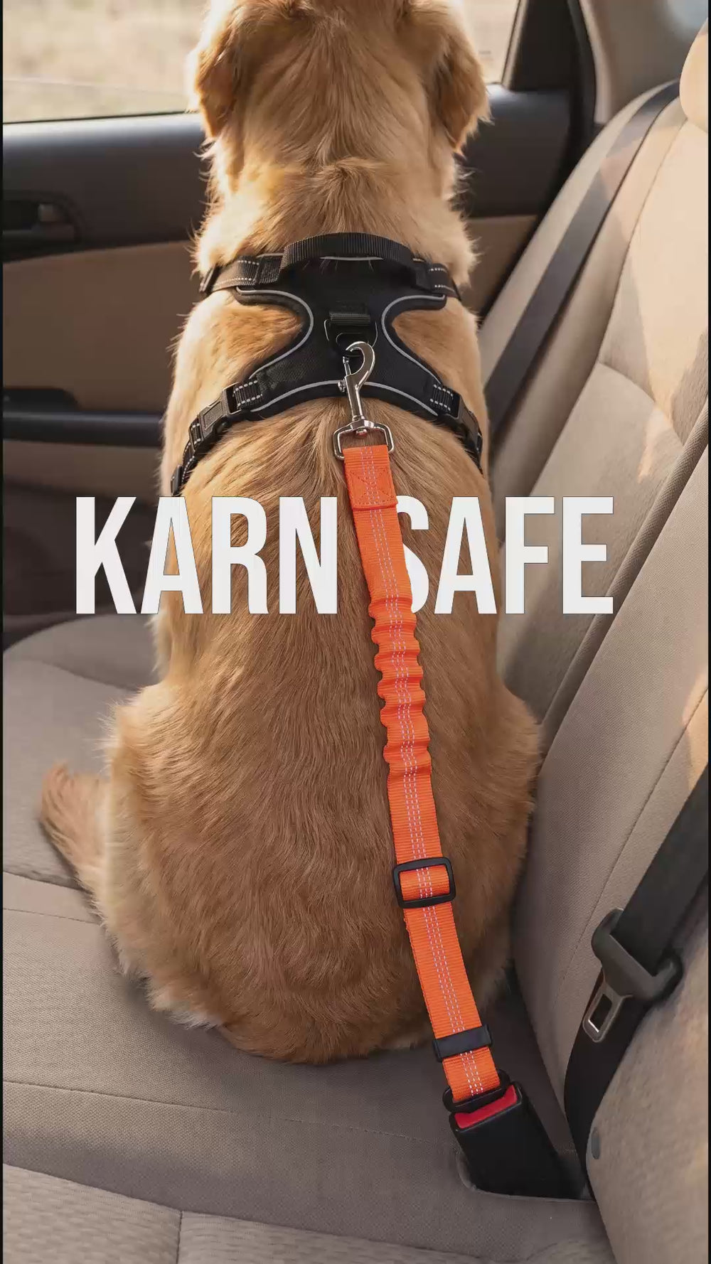 Adaptateur ceinture de sécurité chien KARN Safe attaché au harnais en voiture