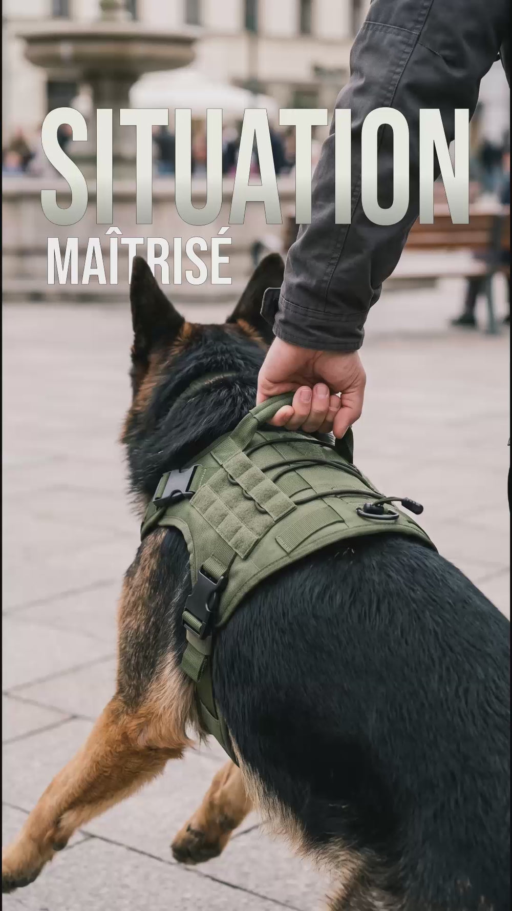 Poignée dorsale du harnais tactique chien KARN Field pour reprendre le contrôle
