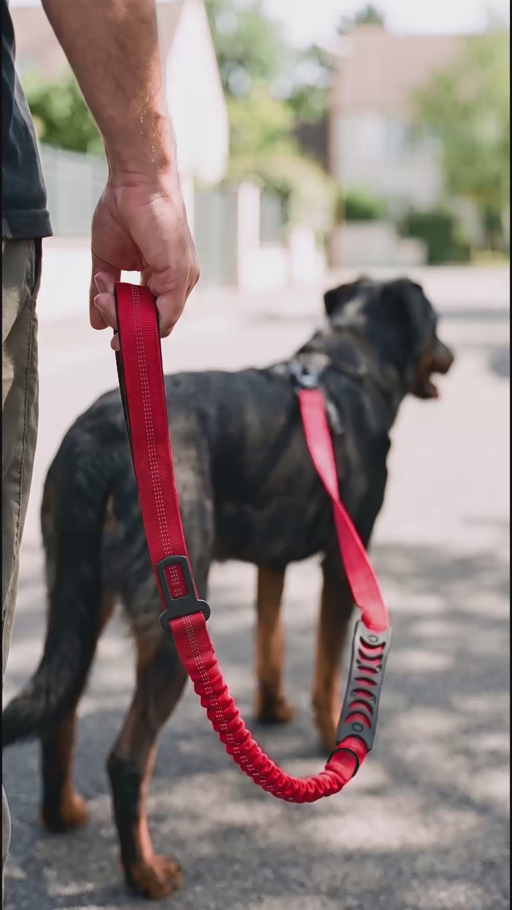 Laisse anti-choc chien KARN Lead : la sangle bungee absorbe le choc de traction